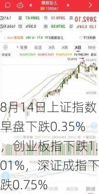 8月14日上证指数早盘下跌0.35%，创业板指下跌1.01%，深证成指下跌0.75%