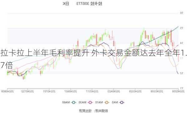 拉卡拉上半年毛利率提升 外卡交易金额达去年全年1.7倍