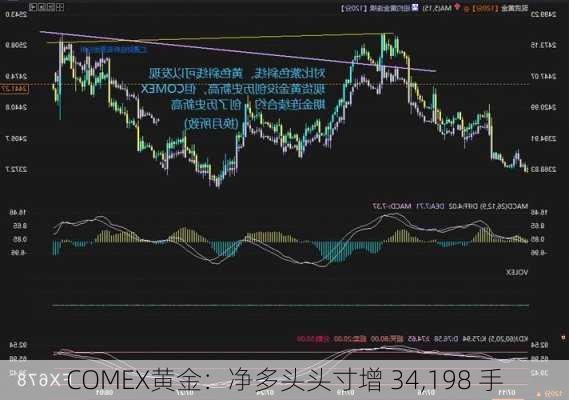 COMEX黄金：净多头头寸增 34,198 手