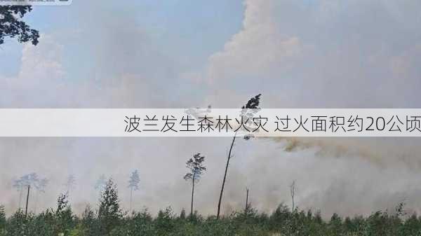 波兰发生森林火灾 过火面积约20公顷