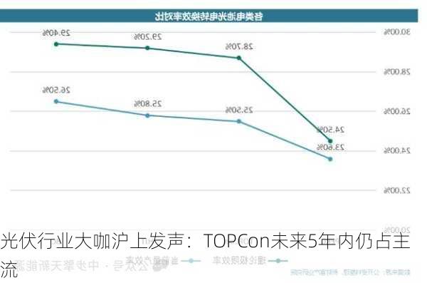 光伏行业大咖沪上发声：TOPCon未来5年内仍占主流