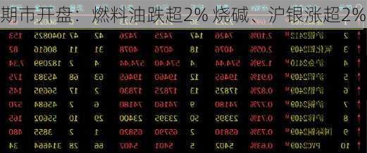 期市开盘：燃料油跌超2% 烧碱、沪银涨超2%