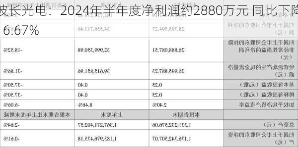 波长光电：2024年半年度净利润约2880万元 同比下降16.67%