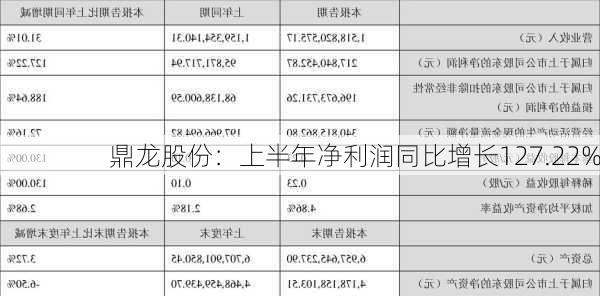 鼎龙股份：上半年净利润同比增长127.22%