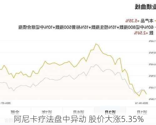 阿尼卡疗法盘中异动 股价大涨5.35%