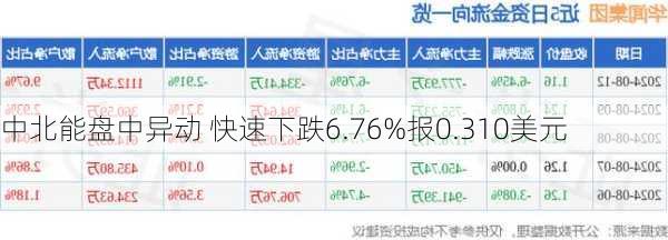 中北能盘中异动 快速下跌6.76%报0.310美元