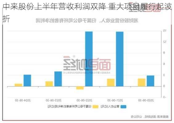 中来股份上半年营收利润双降 重大项目履行起波折