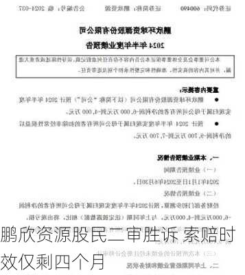 鹏欣资源股民二审胜诉 索赔时效仅剩四个月