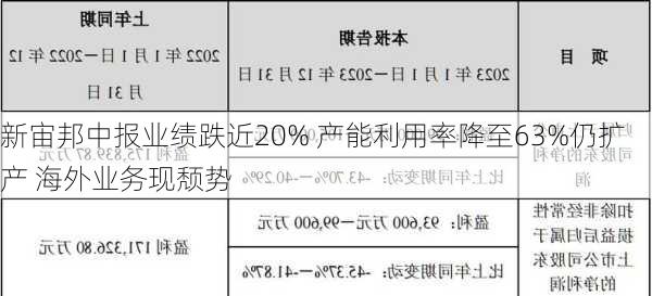 新宙邦中报业绩跌近20% 产能利用率降至63%仍扩产 海外业务现颓势