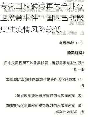 专家回应猴痘再为全球公卫紧急事件：国内出现聚集性疫情风险较低