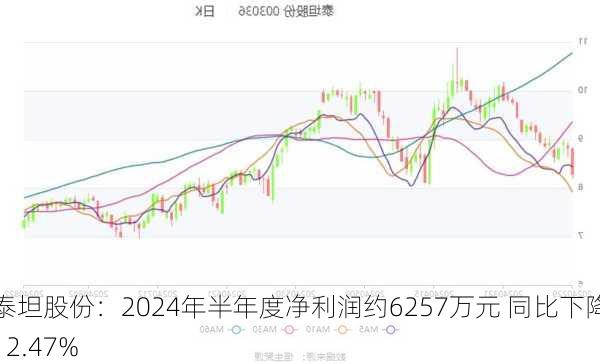 泰坦股份：2024年半年度净利润约6257万元 同比下降12.47%