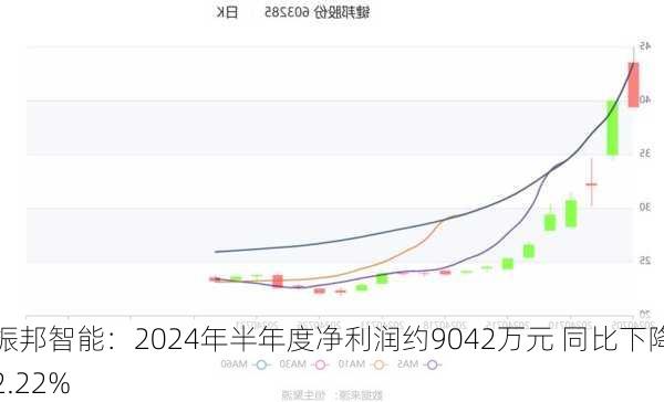 振邦智能：2024年半年度净利润约9042万元 同比下降2.22%