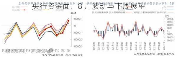 央行资金面：8 月波动与下周展望