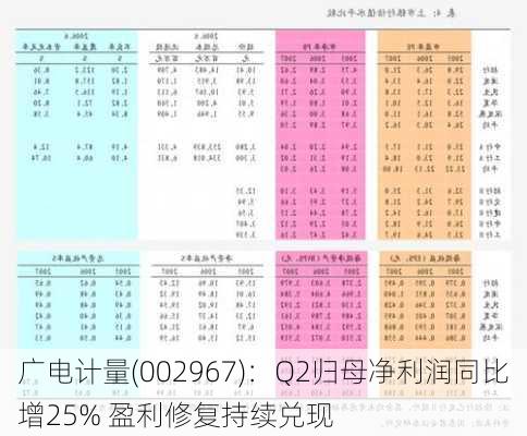 广电计量(002967)：Q2归母净利润同比增25% 盈利修复持续兑现