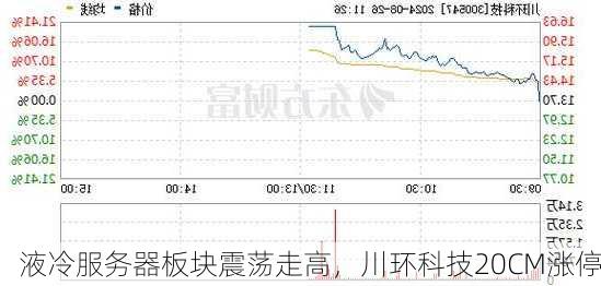 液冷服务器板块震荡走高，川环科技20CM涨停