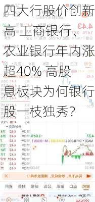 四大行股价创新高 工商银行、农业银行年内涨超40% 高股息板块为何银行股一枝独秀？