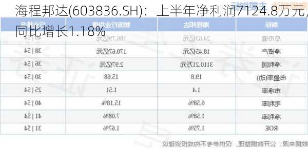 海程邦达(603836.SH)：上半年净利润7124.8万元，同比增长1.18%