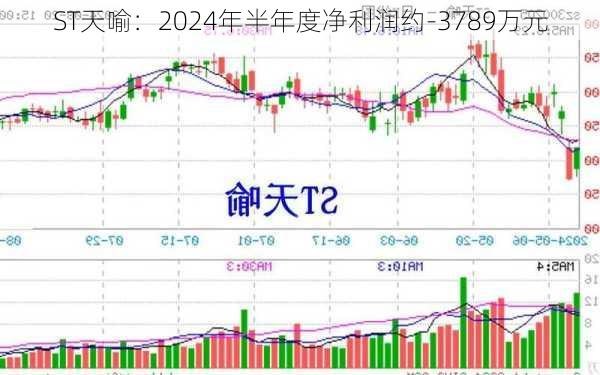 ST天喻：2024年半年度净利润约-3789万元