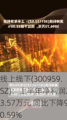 线上线下(300959.SZ)：上半年净利润213.57万元 同比下降90.59%