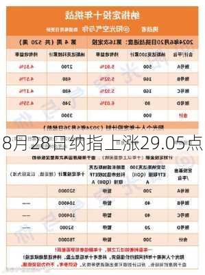 8月28日纳指上涨29.05点