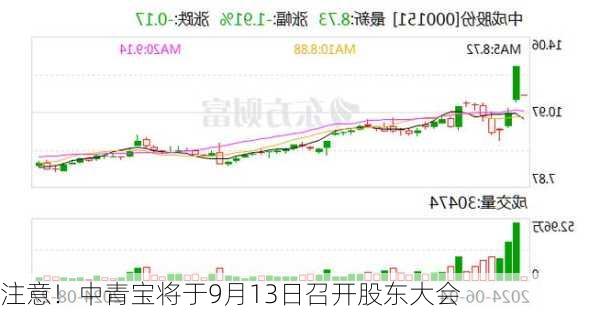 注意！中青宝将于9月13日召开股东大会