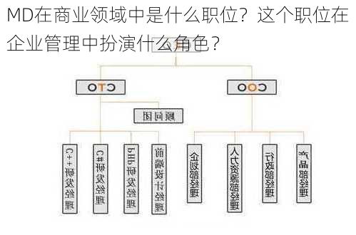 MD在商业领域中是什么职位？这个职位在企业管理中扮演什么角色？