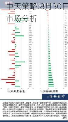 中天策略:8月30日市场分析