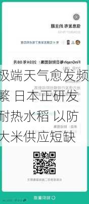 极端天气愈发频繁 日本正研发耐热水稻 以防大米供应短缺