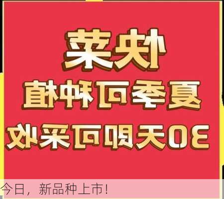 今日，新品种上市！