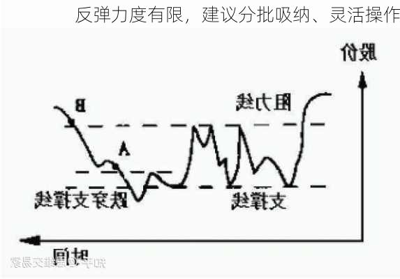 反弹力度有限，建议分批吸纳、灵活操作