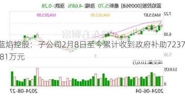 蓝焰控股：子公司2月8日至今累计收到政府补助7237.81万元