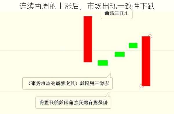 连续两周的上涨后，市场出现一致性下跌