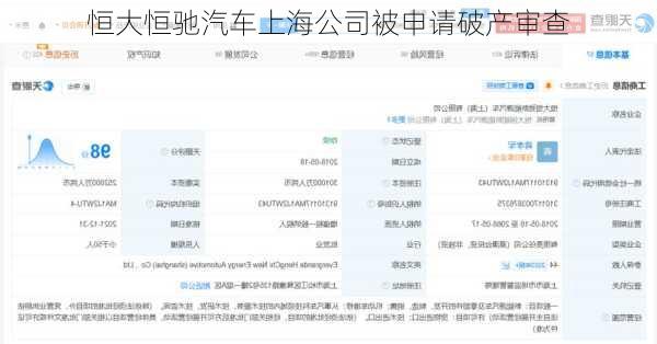 恒大恒驰汽车上海公司被申请破产审查