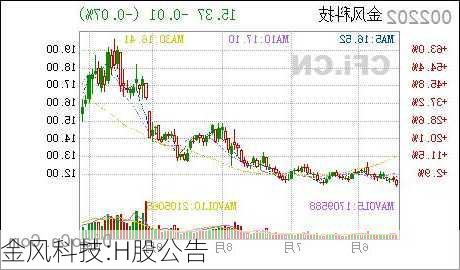 金风科技:H股公告