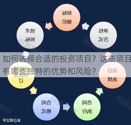 如何选择合适的投资项目？这些项目有哪些独特的优势和风险？