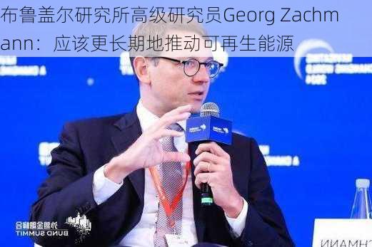 布鲁盖尔研究所高级研究员Georg Zachmann：应该更长期地推动可再生能源