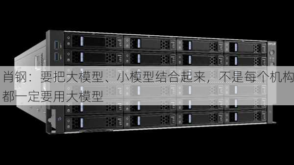 肖钢：要把大模型、小模型结合起来，不是每个机构都一定要用大模型