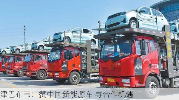 津巴布韦：赞中国新能源车 寻合作机遇