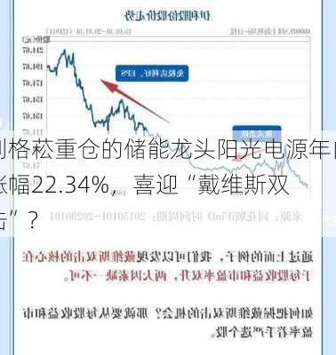 刘格菘重仓的储能龙头阳光电源年内涨幅22.34%，喜迎“戴维斯双击”？