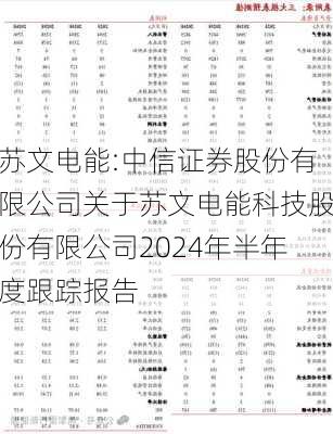 苏文电能:中信证券股份有限公司关于苏文电能科技股份有限公司2024年半年度跟踪报告