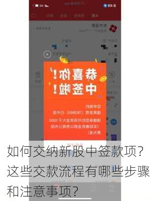 如何交纳新股中签款项？这些交款流程有哪些步骤和注意事项？