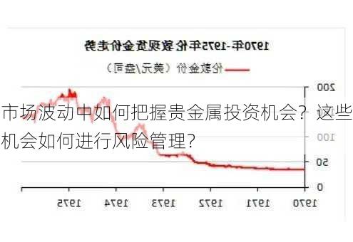 市场波动中如何把握贵金属投资机会？这些机会如何进行风险管理？