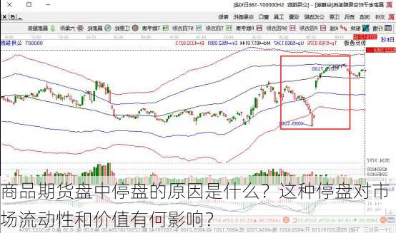 商品期货盘中停盘的原因是什么？这种停盘对市场流动性和价值有何影响？