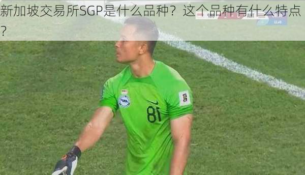 新加坡交易所SGP是什么品种？这个品种有什么特点？