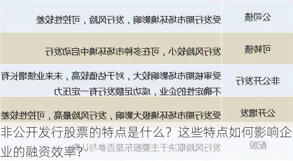 非公开发行股票的特点是什么？这些特点如何影响企业的融资效率？