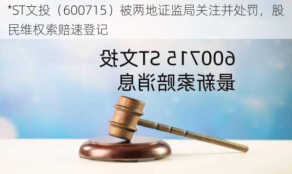 *ST文投（600715）被两地证监局关注并处罚，股民维权索赔速登记