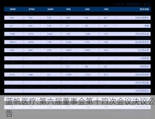 蓝帆医疗:第六届董事会第十四次会议决议公告