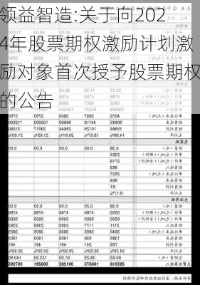 领益智造:关于向2024年股票期权激励计划激励对象首次授予股票期权的公告