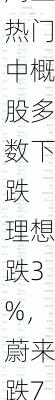 周三热门中概股多数下跌 理想跌3%，蔚来跌7%