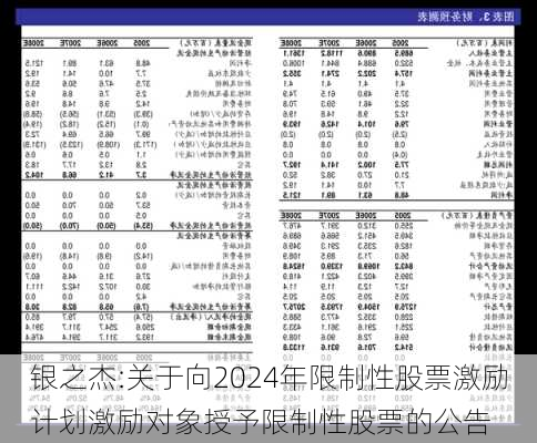 银之杰:关于向2024年限制性股票激励计划激励对象授予限制性股票的公告